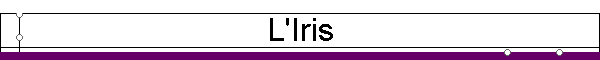 L'Iris