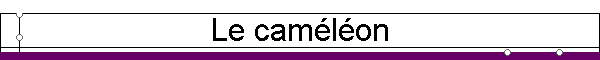 Le camlon