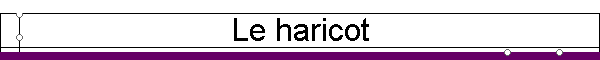 Le haricot