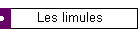 Les limules